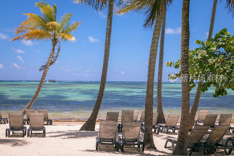 沙滩椅子下的棕榈树在Saona - Punta Cana，蓝绿色的加勒比海